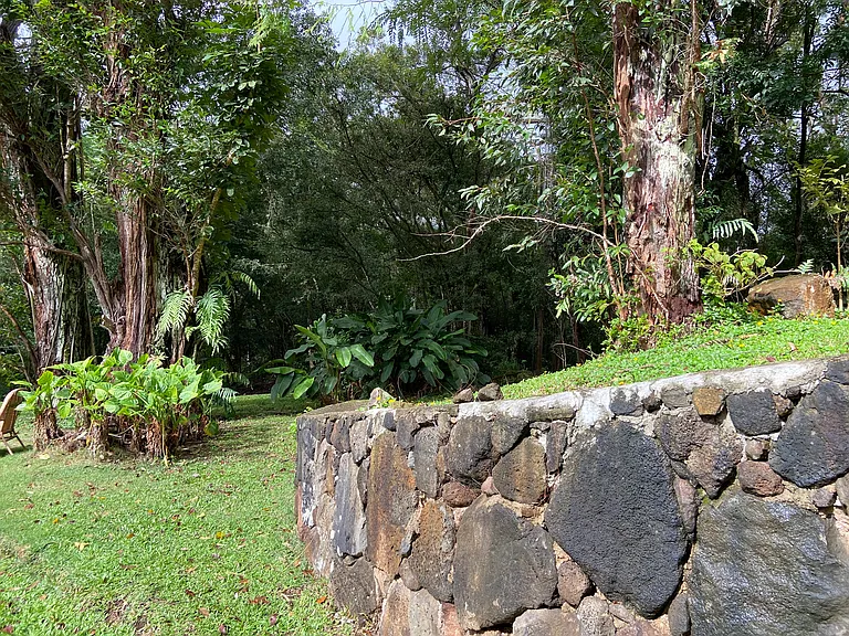 View from entry lanai