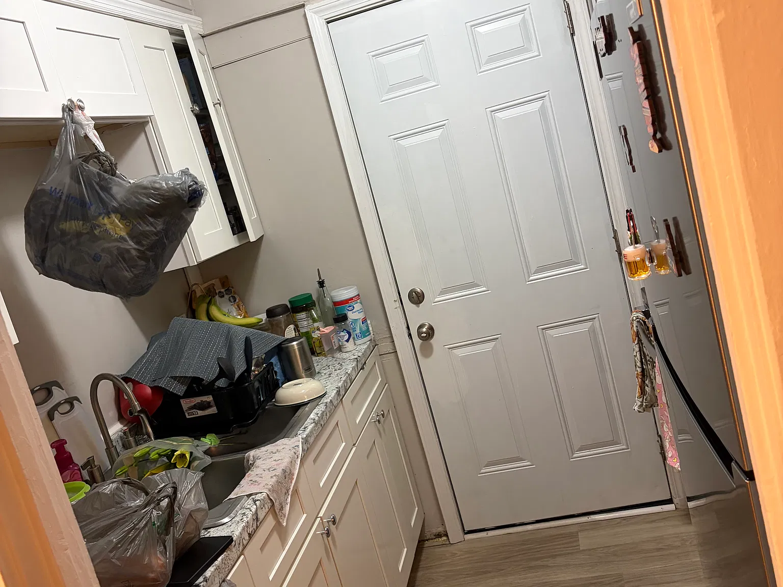 1 bed, 800 sqft, $975 — Photo 2