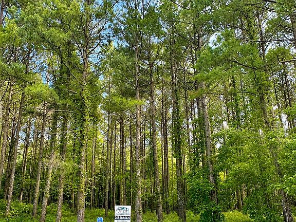 2nd image of 117 Colleton Cir Lot 163