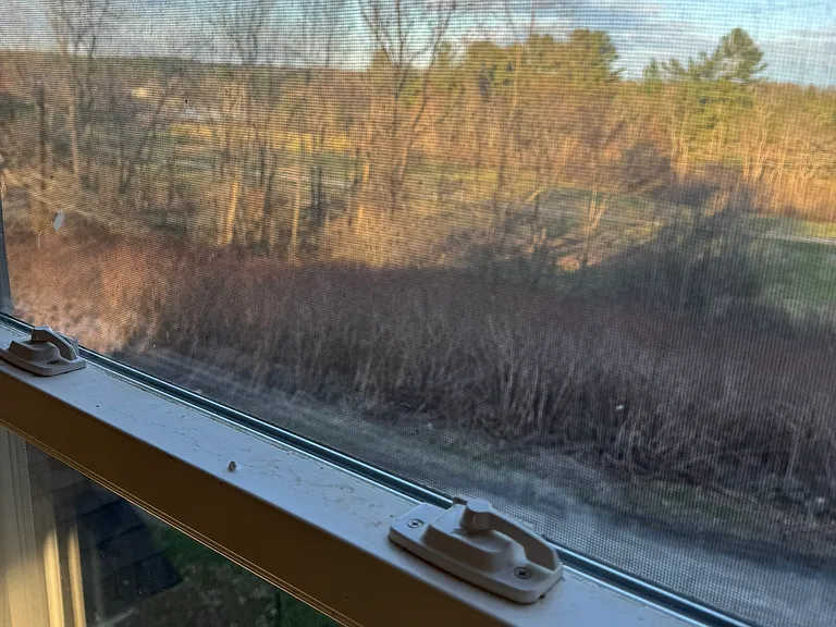 View from 2nd bedroom