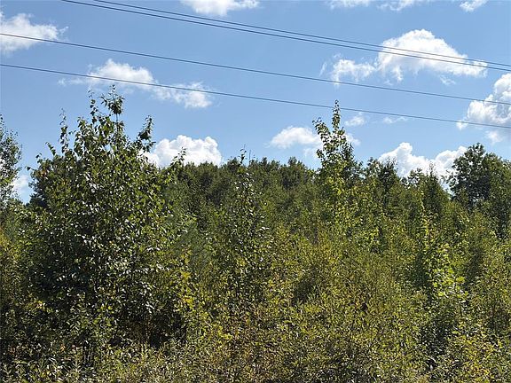 3rd image of On Holmes Road