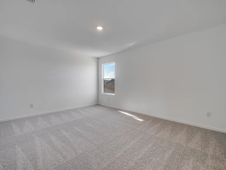 3145 Burmese St — Photo 18