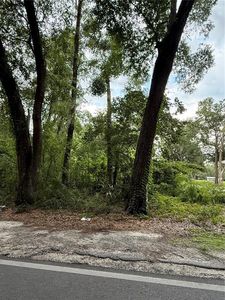 4117 Silver Lake Dr Lot 2, Palatka, FL, 32177