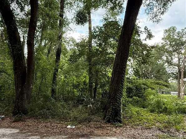 4117 Silver Lake Dr Lot 2, Palatka, FL 32177