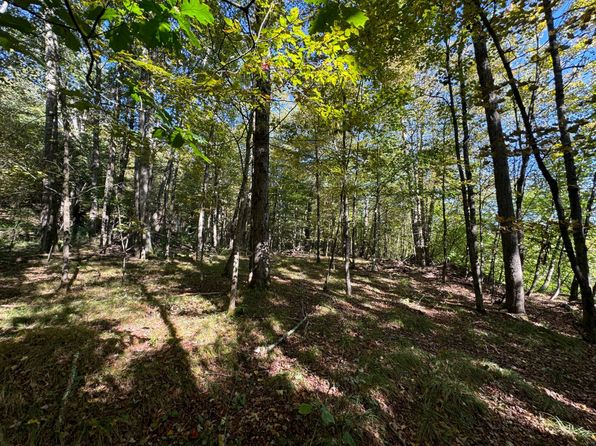 0 Gunn Rd, New Milford, PA 18834