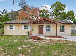 705 Mike Ave, Fruitland Park, FL 34731