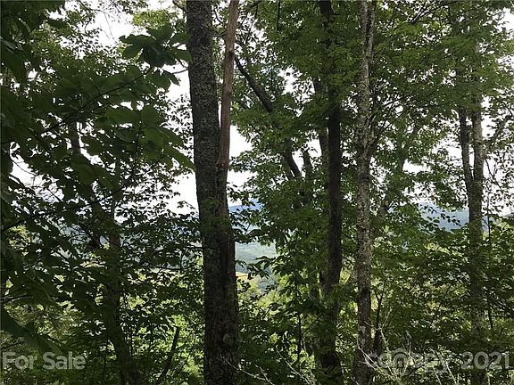 5th image of 371 Linville Oaks Dr Lot 10