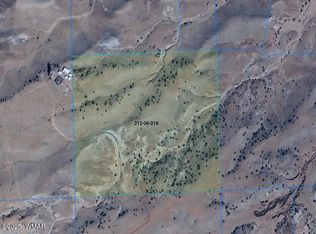 118 Big Valley, Concho, AZ 85924