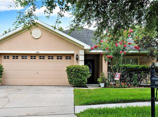 11141 Irish Moss Ave, Riverview, FL 33569
