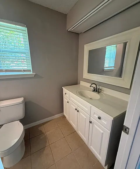 Primary Bathroom Vanity