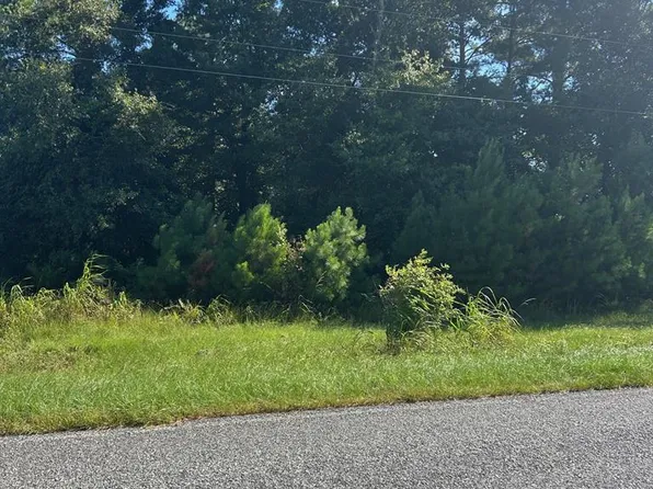 Cannonville Rd, Rochelle, GA 31079