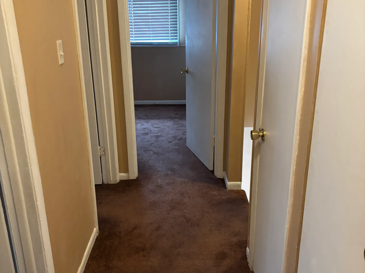 3 bed, 1.5 bath, 1200 sqft, $1,800 — Photo 4