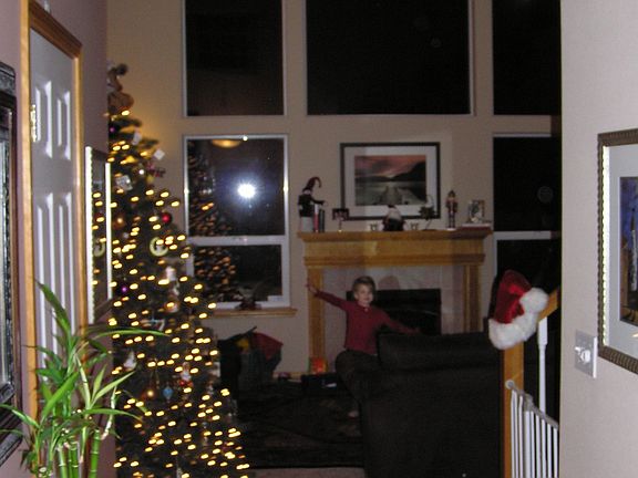18' Ceiling/Wall of Windows