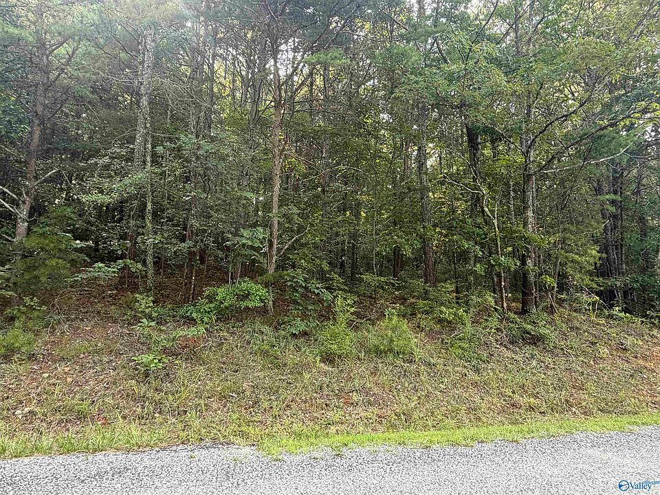 1st image of 7 Yellow Creek Rd