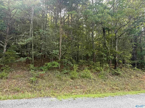 7 Yellow Creek Rd, Leesburg, AL 35983
