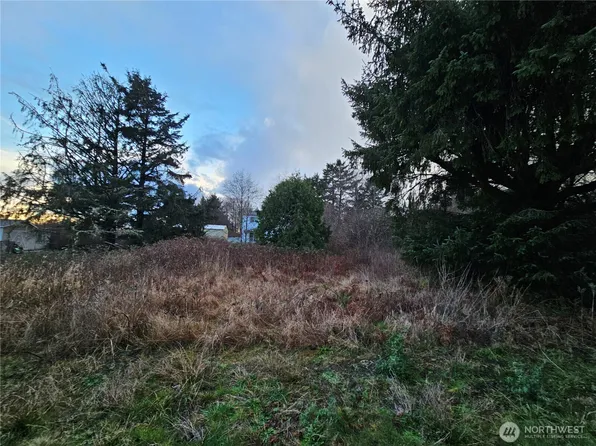 19 N 3rd Street, Pacific Beach, WA 98571