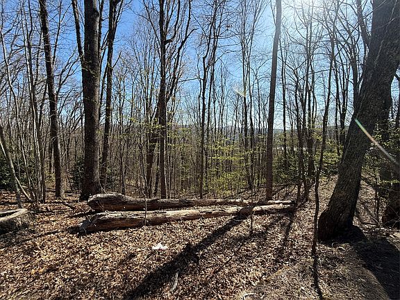 3rd image of lot 22 Bright Mountain