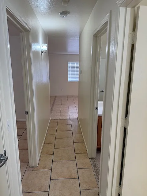 3 bed, 1000 sqft, $1,250 — Photo 4