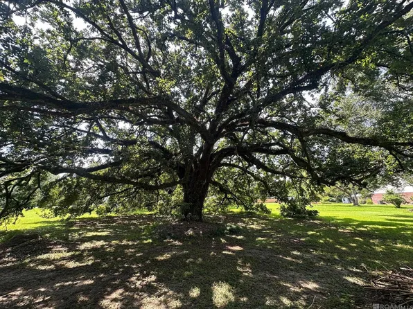 Alex Rd, Gonzales, LA 70737