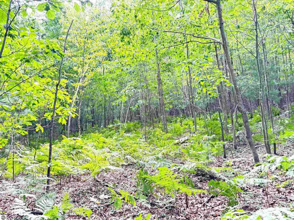 N Leaton Rd, Mount Pleasant, MI 48858