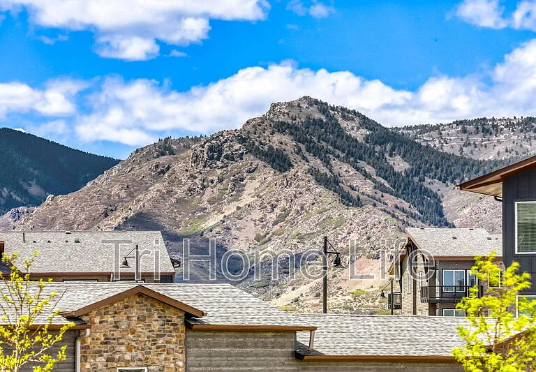 8397 Mount Ouray Rd — Photo 34