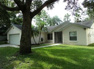 1905 Landside Dr, Valrico, FL 33594