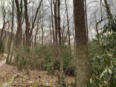 0 Kelsey Mountain Rd, Dillard, GA, 30537
