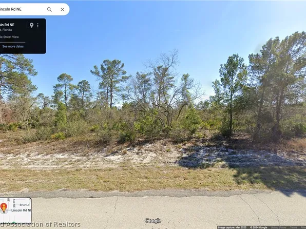 293 Lincoln Rd NE, Lake Placid, FL 33852