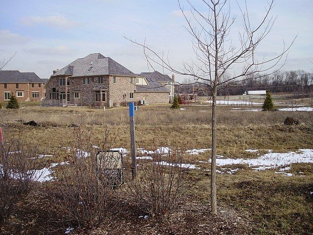 1st image of 7251 Litchfield Ct