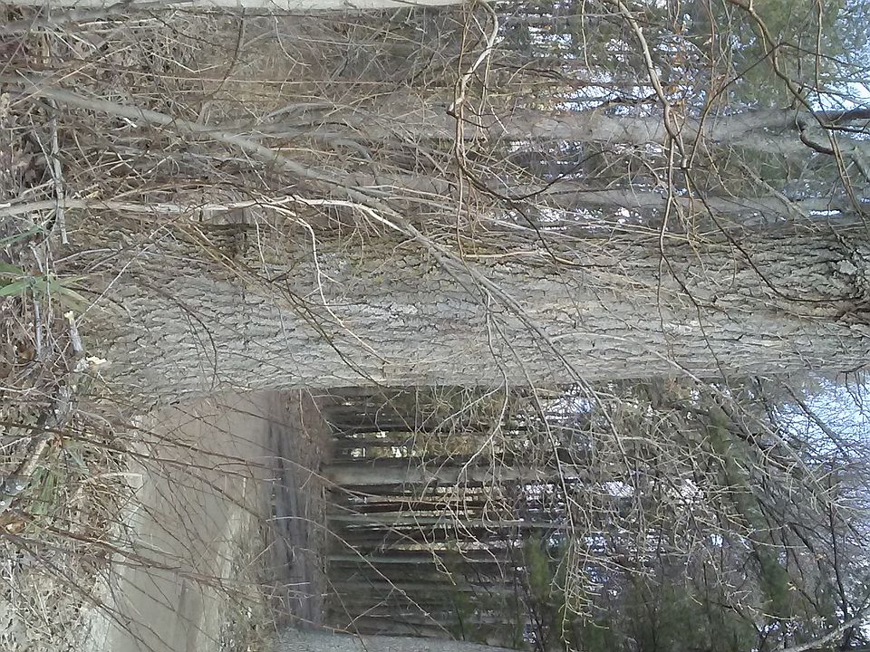 2nd image of 4315 112th Ave