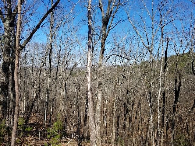 2nd image of 788 Blue Beech Dr