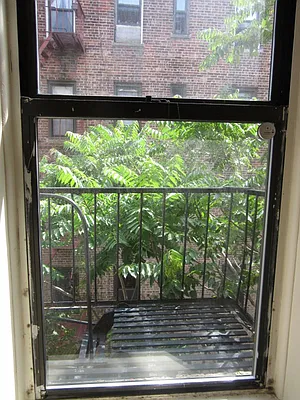 Rented by Bohemia Realty Group | media 11