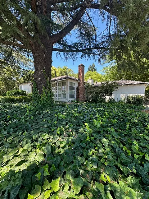 2 bed, 1064 sqft, $2,750 — Photo 1