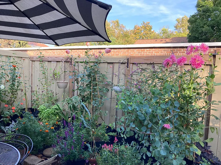Private patio garden area