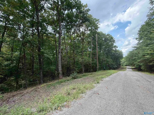 33 & 34 Woodfern Dr, Scottsboro, AL 35768