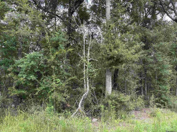 Tbd Duff Rd, Walker, LA 70785