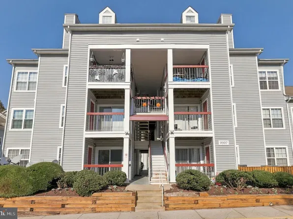 9907 Boysenberry Way APT 101, Montgomery Village, MD 20879