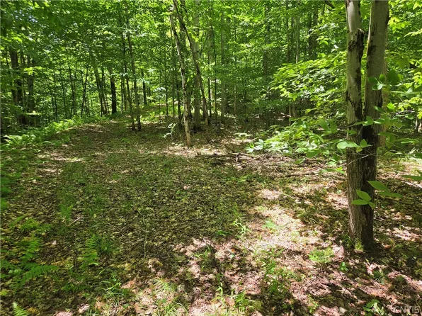Moose River Rd Lot 15, Pt Leyden, NY 13433