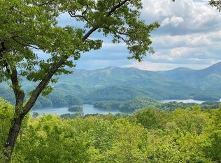 16 Diamond Point Dr, Butler, TN 37640