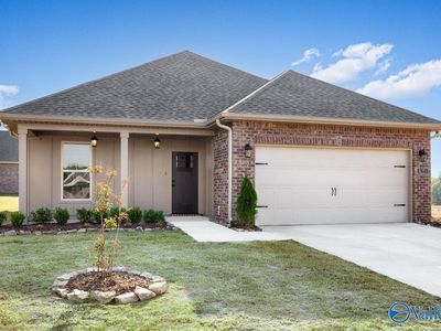 15640 Bees St NW, Harvest, AL, 35749