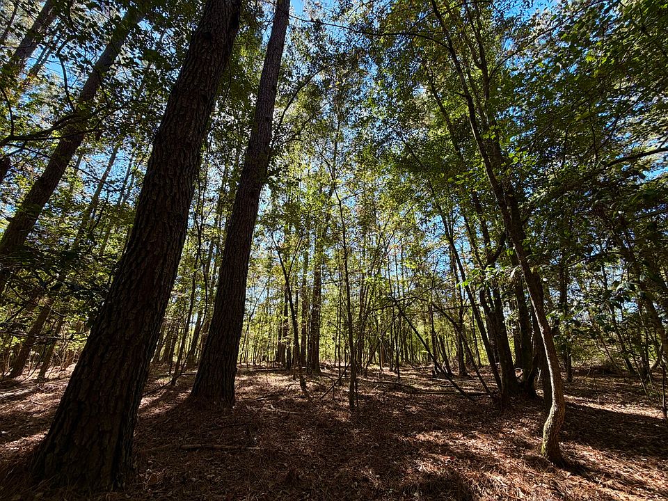 1st image of 0 Highway 45 Tract #6