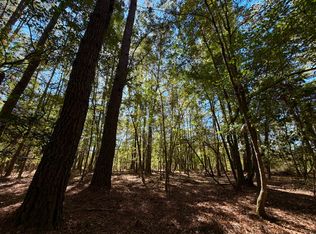 0 Highway 45 Tract #6, Fruitdale, AL 36539