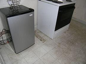 5th image of 527 Paden St