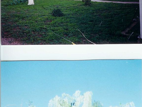 Front/Wysteria Hanging