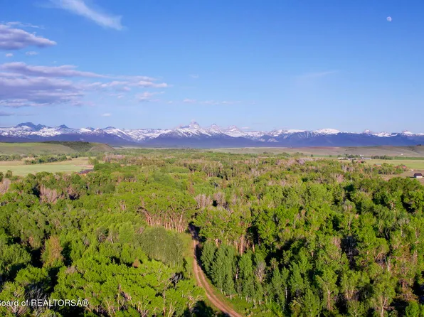 W 10000 N, Felt, ID 83424