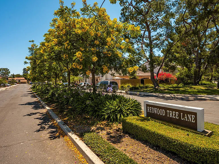 24 Redwood Tree Ln — Photo 40