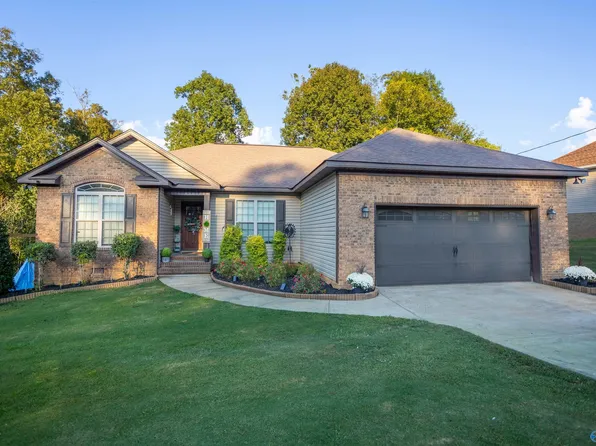 3696 Oak Hill Dr, Southside, AL 35907