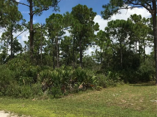 1159 Macaw Ave, Lake Placid, FL 33852