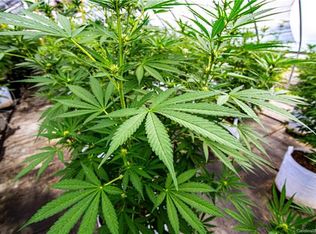 1448 Cane Creek Rd, Fletcher, NC 28732