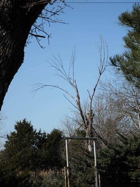 2nd image of 54800 S 348th Rd
